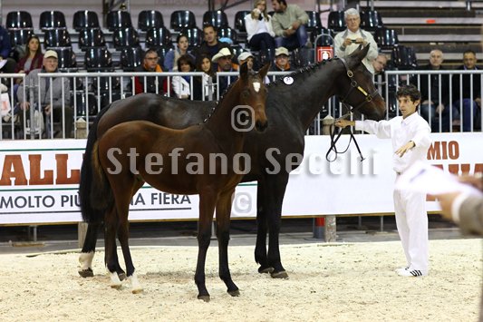 PAN CARRE_MILANO_2010_SS3_8351.jpg